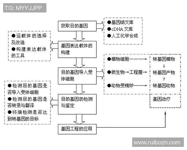 广州乒乓球队技术分析与表现评估的综合研究与探讨
