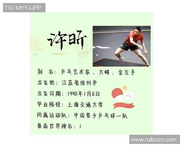 上海乒乓球队选拔赛背后的成长历程与奋斗故事分享
