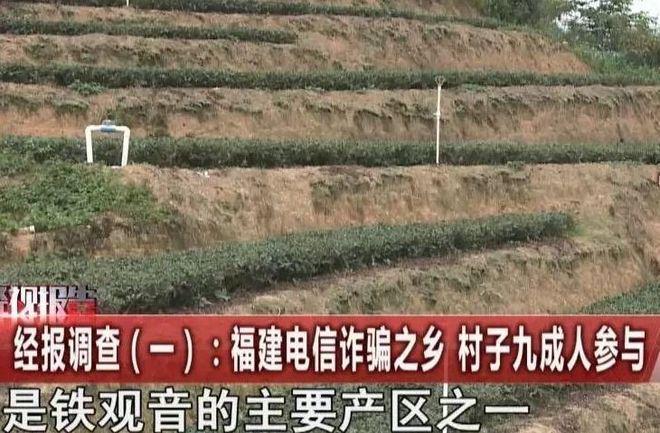 kaiyun·(中国)官方网站【江湖】从驻马店、到安溪“十亿群众九亿骗另有一亿在(图7)